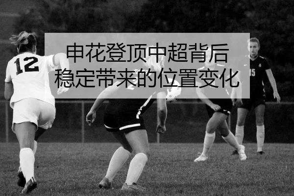 申花登顶中超背后 稳定带来的位置变化